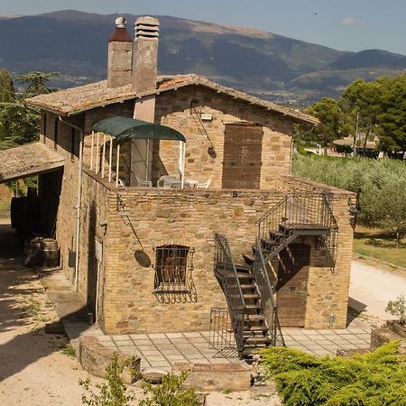 Country House Carmelita Limigiano Ngoại thất bức ảnh